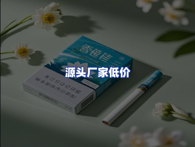 专业团队
